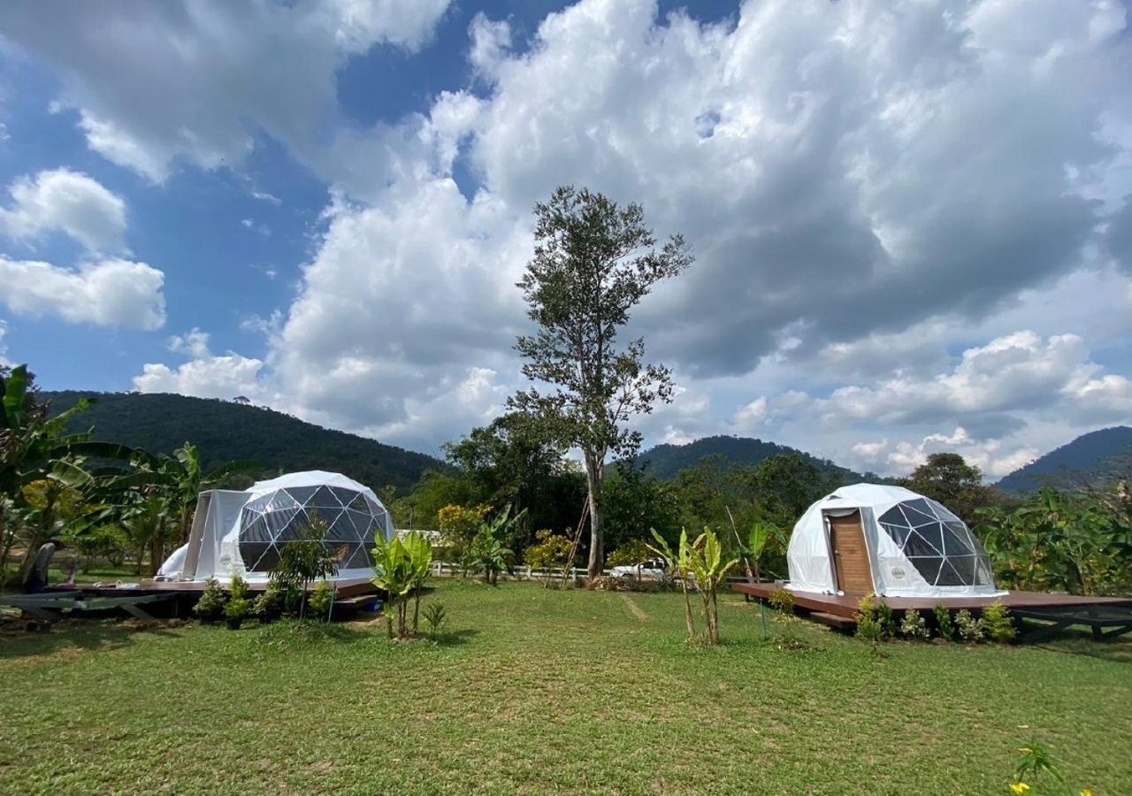 Khao Sok National Park Cosy Garden Khao Sok酒店 外观 照片