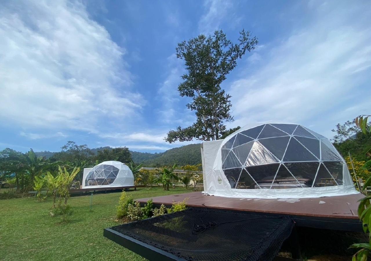 Khao Sok National Park Cosy Garden Khao Sok酒店 外观 照片
