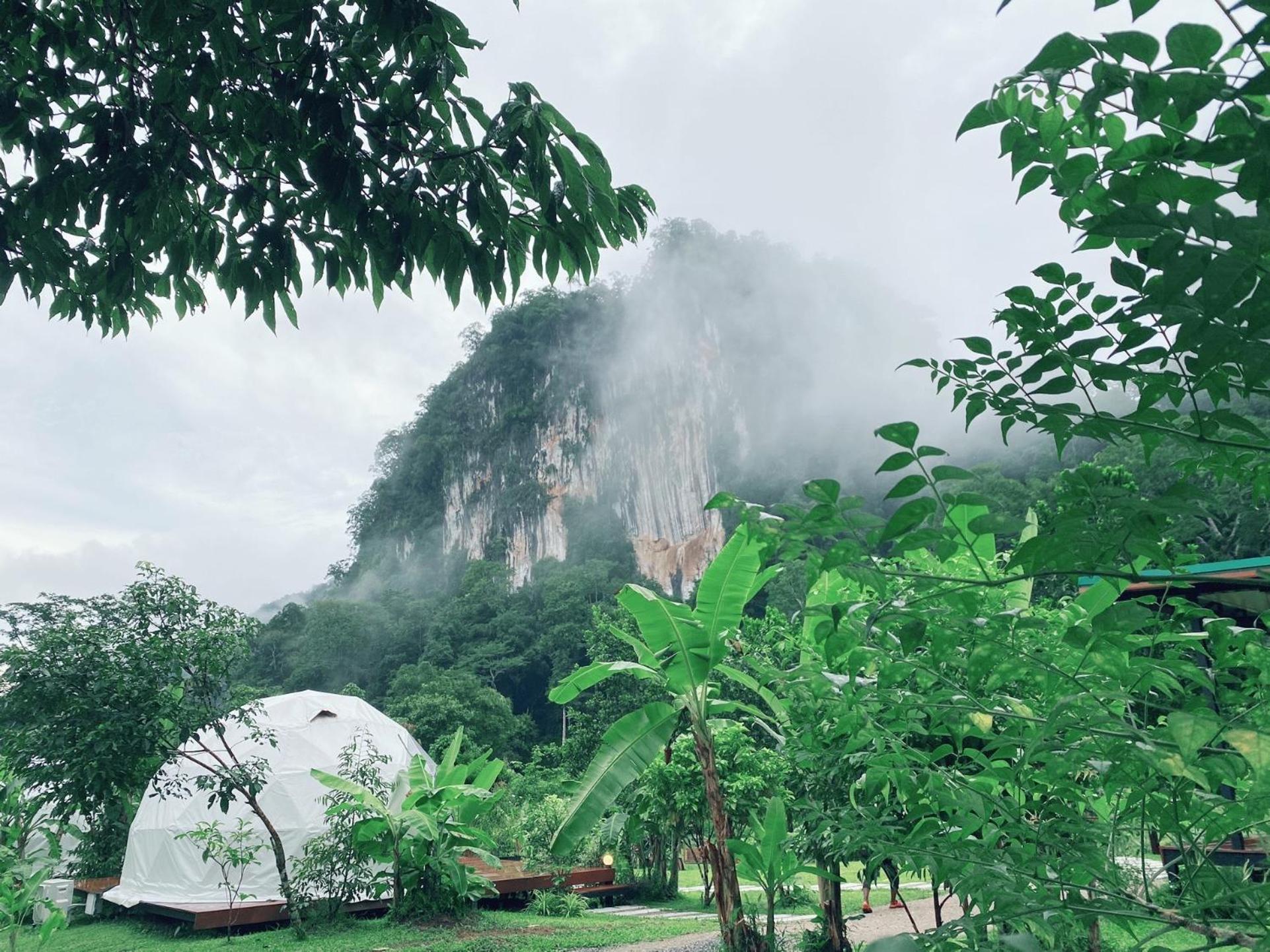 Khao Sok National Park Cosy Garden Khao Sok酒店 外观 照片